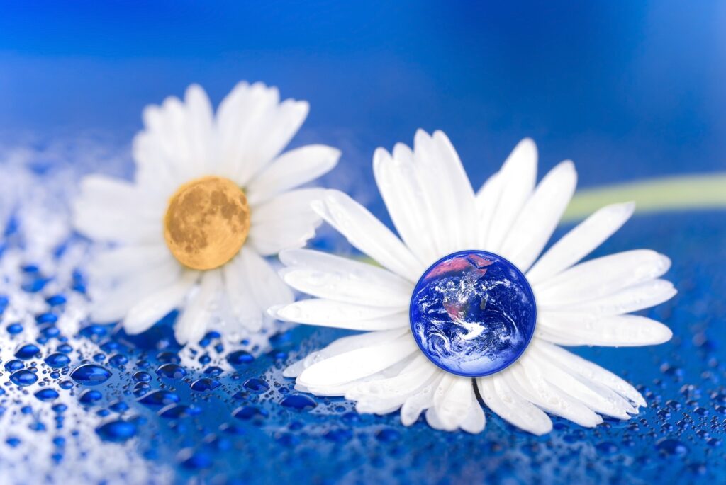 soin minceur en promotion: cellulite, rétention d'eau,